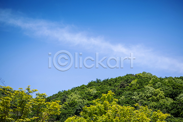사람없음 JPG 포토 구름(자연) 나뭇잎 맑음 산 야외 여름(계절) 여름풍경 울창 자연 주간 풍경(경치) 하늘