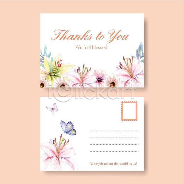 사람없음 EPS 일러스트 해외이미지 꽃 나비 리플렛 세트 수채화(물감) 엽서 카드(감사) 흰색