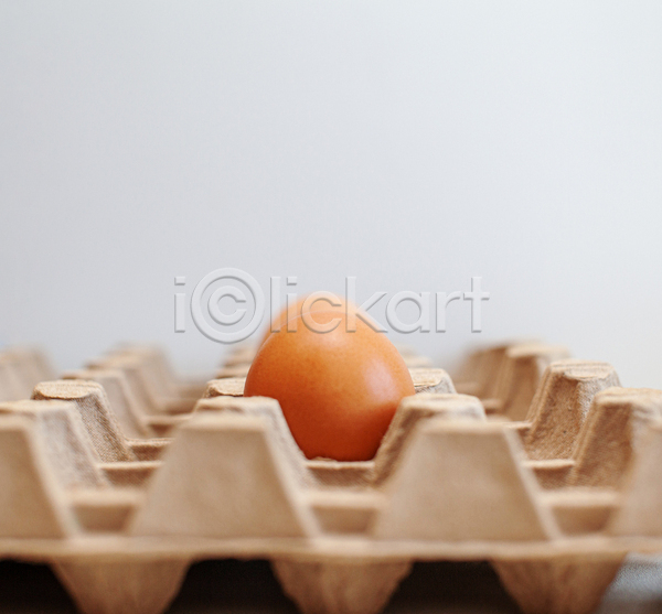 사람없음 JPG 포토 해외이미지 계란 계란판 실내 흰배경