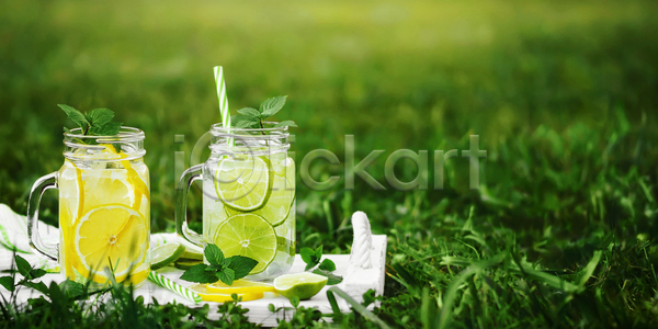 사람없음 JPG 포토 해외이미지 나무쟁반 라임 레모네이드 레몬 모히토 빨대 야외 잔 잔디 주간 주스 해외포토
