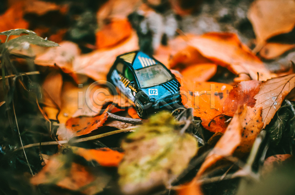 사람없음 JPG 근접촬영 소프트포커스 아웃포커스 포토 해외이미지 가을(계절) 낙엽 단풍 숲 야외 오브젝트 자연 장난감자동차 풍경(경치)