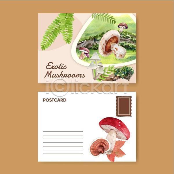 사람없음 EPS 일러스트 해외이미지 리플렛 버섯 세트 수채화(물감) 엽서 카드(감사) 풀잎