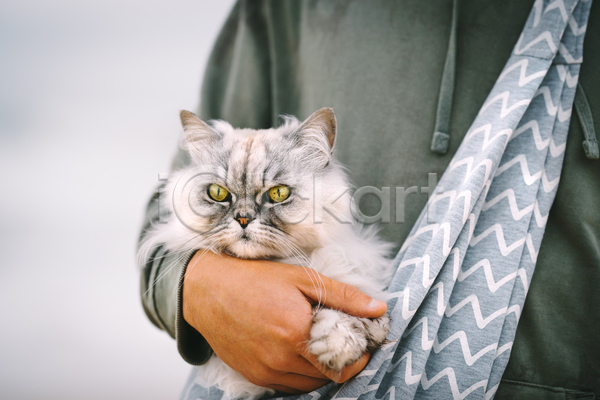 귀여움 남자 성인 성인남자한명만 한명 JPG 아웃포커스 포토 해외이미지 가방 고양이 반려묘 상반신 실내 안기 한마리