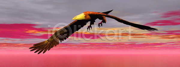 상승 자유 평화 사람없음 3D JPG 일러스트 포토 해외이미지 갈색 구름 깃털 꿈 날개 단아함 독수리 동물 동물상 디지털 만들기 무료 백그라운드 분홍색 뷰티 빨간색 속도 시력 심볼 안테나 야생동물 야외 우주 육식동물 일몰 자연 저녁 조류 천국 하늘 해외일러스트 흰색 힘