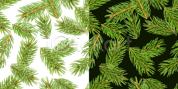 새로움 사람없음 JPG 포토 해외이미지 가문비나무 검은색 겨울 고립 나무 나뭇가지 백그라운드 벽지 상록수 세트 소나무 식물 연도 자르기 자연 장식 전나무 질감 초록색 침엽수 크리스마스 클리핑패스 패턴 휴가 흰색
