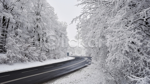 사람없음 JPG 포토 해외이미지 가로수 겨울 나무 눈(날씨) 도로 숲 야외 자연 풍경(경치)