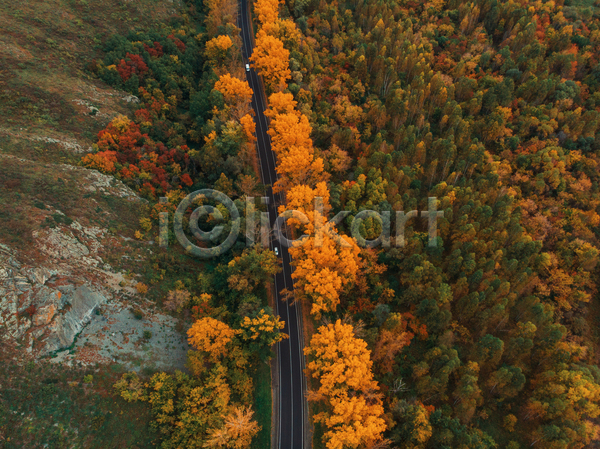 사람없음 JPG 포토 항공촬영 해외이미지 가을(계절) 고속도로 나무 내추럴 도로 숲 야외 잎 절벽 조감도 풍경(경치)