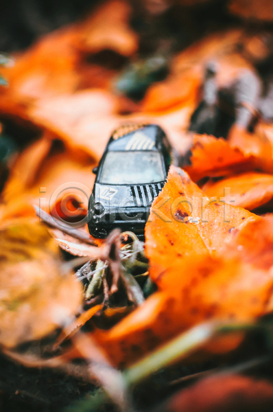 사람없음 JPG 포토 해외이미지 가을(계절) 나뭇가지 낙엽 단풍 백그라운드 숲 야외 자동차모형 장난감 주황색 풍경(경치)