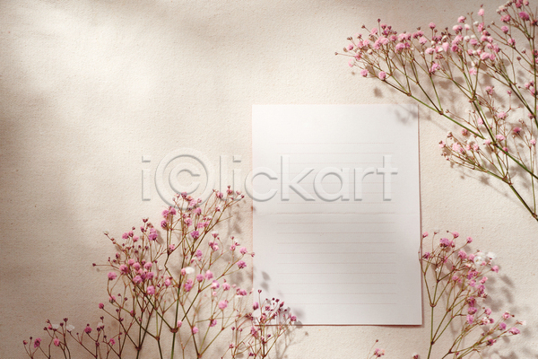 사람없음 JPG 포토 해외이미지 꽃 드라이플라워 목업 실내 오브젝트 편지 편지지 흰배경