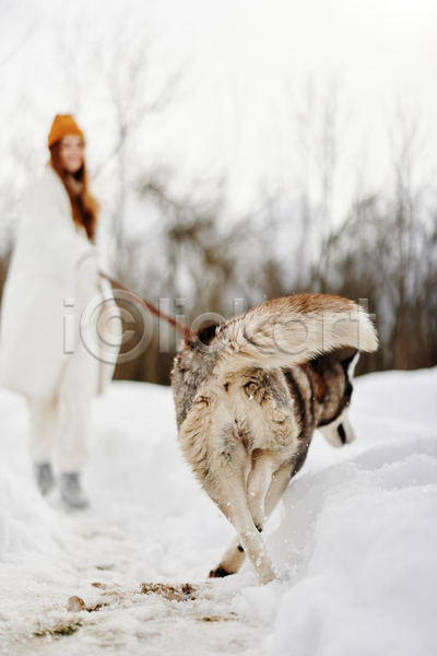 산책 함께함 성인 성인여자한명만 여자 한명 JPG 아웃포커스 앞모습 포토 해외이미지 강아지 걷기 겨울 겨울옷 눈(날씨) 눈덮임 반려견 반려동물 시베리안허스키 야외 전신 주간 한마리