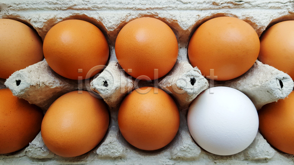 사람없음 JPG 포토 하이앵글 해외이미지 계란 계란판 실내