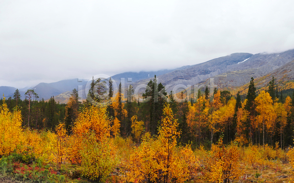 사람없음 JPG 포토 해외이미지 가을(계절) 공원 구름(자연) 나무 러시아 숲 야외 주간 풍경(경치)