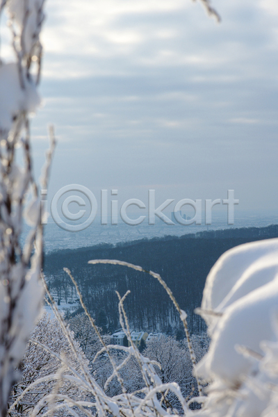 추위 사람없음 JPG 포토 해외이미지 겨울 계절 구름(자연) 나뭇가지 날씨 내추럴 백그라운드 비엔나 서리 숲 야외 언덕 얼음 자연 파란색 풍경(경치) 하늘 흰색
