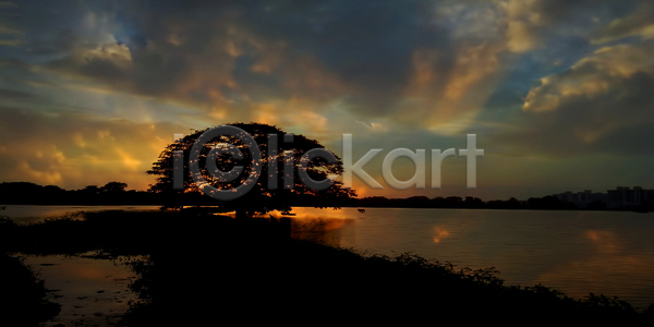 사람없음 JPG 포토 해외이미지 구름(자연) 나무 야간 야외 일몰 자연 풍경(경치) 하늘 호수