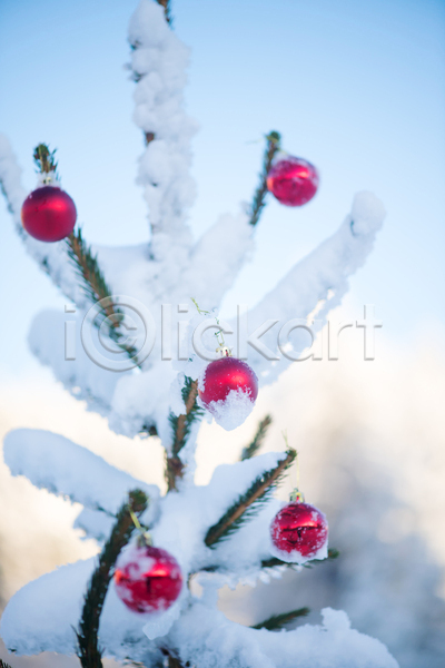 사람없음 JPG 아웃포커스 포토 해외이미지 눈(날씨) 눈덮임 쌓인눈 야외 오너먼트 잎 주간 크리스마스 크리스마스용품
