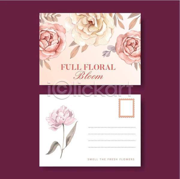 사람없음 EPS 일러스트 해외이미지 꽃 리플렛 분홍색 세트 수채화(물감) 엽서 카드(감사) 흰색