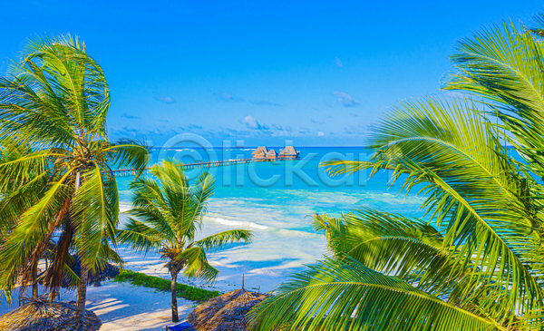 사람없음 JPG 포토 해외이미지 맑음 바다 수상가옥 아프리카 야외 야자수 야자수잎 여름(계절) 여름풍경 주간 하늘 휴양지