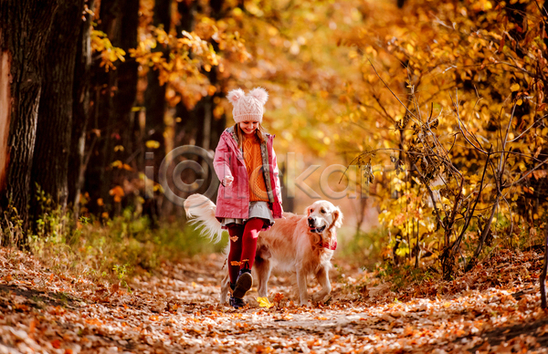 산책 즐거움 함께함 소녀(어린이) 소녀한명만 어린이 여자 한명 JPG 아웃포커스 앞모습 포토 해외이미지 가을(계절) 강아지 걷기 골든리트리버 낙엽 반려견 반려동물 숲길 야외 전신 주간 한마리