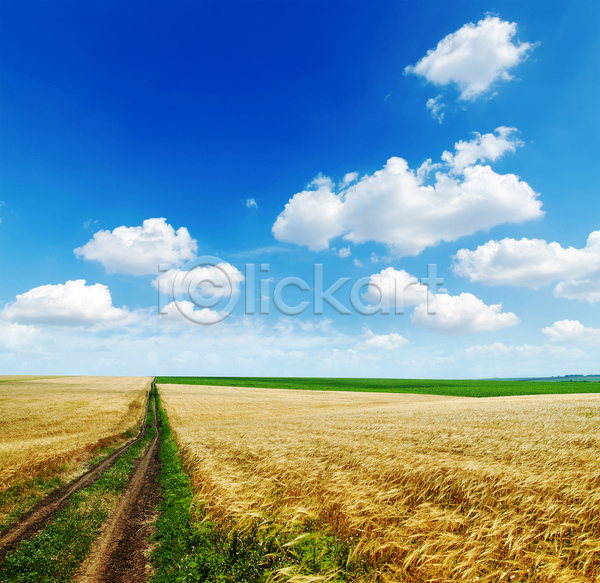 사람없음 JPG 포토 해외이미지 구름(자연) 농경지 농촌 맑음 시골 시골길 야외 자연 주간 풍경(경치) 하늘