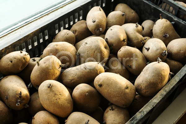 사람없음 JPG 포토 해외이미지 가득함 감자 농작물 담기 바구니 야외 주간