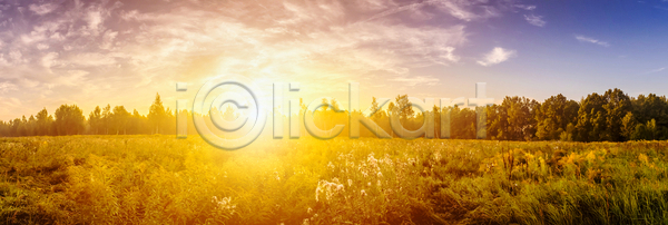 사람없음 JPG 포토 해외이미지 구름(자연) 나무 들꽃 야외 일몰 자연 초원(자연) 태양 파노라마 풍경(경치) 하늘 햇빛