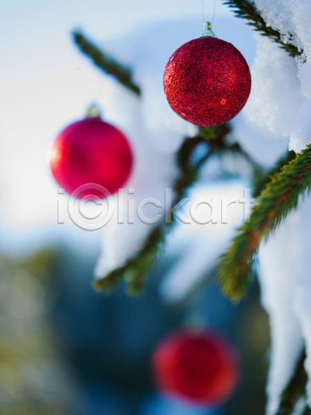 사람없음 JPG 아웃포커스 포토 해외이미지 겨울풍경 눈(날씨) 야외 오너먼트 잎 주간 크리스마스 크리스마스용품