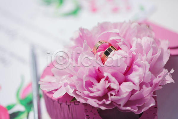 사랑 축하 사람없음 JPG 아웃포커스 포토 해외이미지 결혼 결혼식 꽃 반지 작약 장식