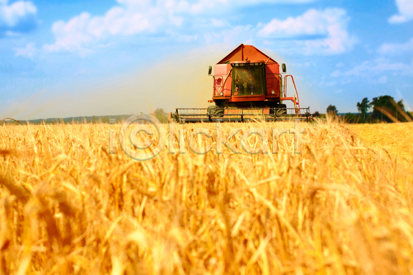 사람없음 JPG 아웃포커스 포토 해외이미지 가을(계절) 농경지 농업 농장 밭 밭일 수확 풍경(경치) 호밀
