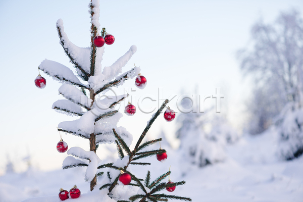 사람없음 JPG 아웃포커스 포토 해외이미지 겨울 겨울풍경 눈(날씨) 야외 오너먼트 잎 주간 크리스마스 크리스마스용품