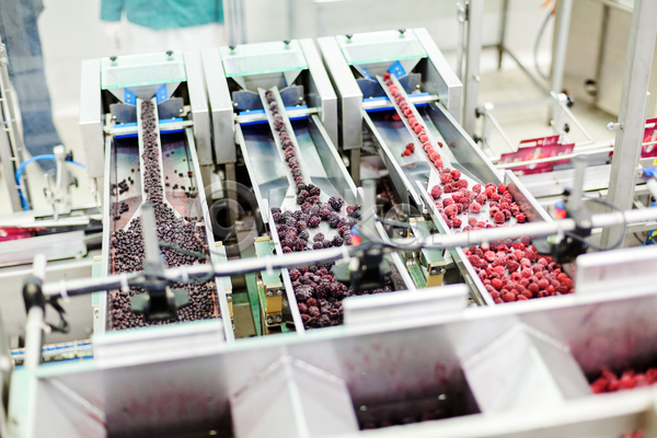 사람없음 JPG 포토 해외이미지 공장 기계 냉동 냉동식품 분류 산딸기 식품공장 일렬 제조