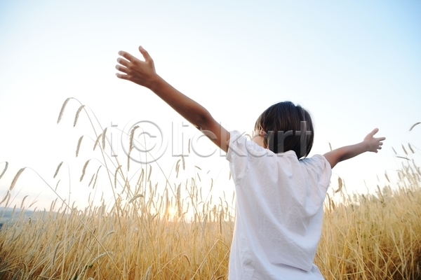 소년 소년한명만 어린이 한명 JPG 뒷모습 포토 해외이미지 가을(계절) 농작물 맑음 밭 백그라운드 상반신 서기 야외 팔벌리기 하늘