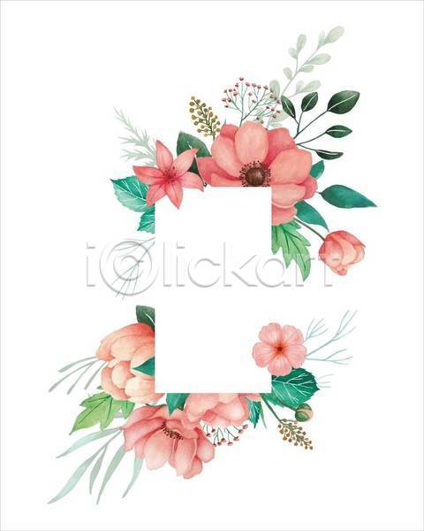 사람없음 EPS 일러스트 해외이미지 그림 꽃 분홍색 사각형 손그림 수채화(물감) 아네모네 잎 카피스페이스 프레임