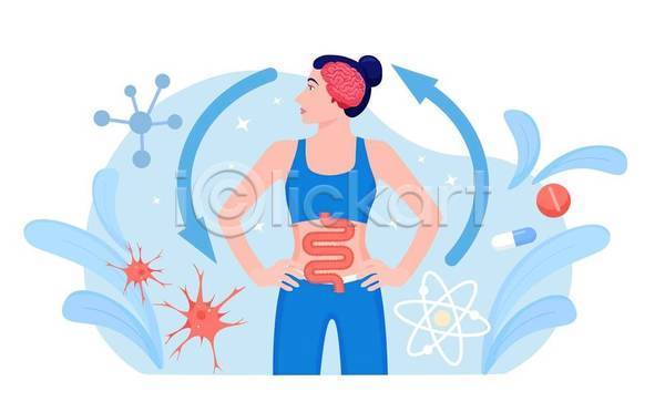 성인 성인여자한명만 여자 한명 EPS 일러스트 해외이미지 뇌 상반신 순환 신경 알약 위(내장기관) 의학 잎 장기(의학) 파란색 허리손 화살표