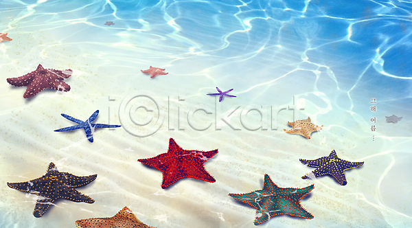감성 시원함 사람없음 PSD 일러스트 모래 물결 바다 불가사리 여러마리 여름(계절) 여름배경 여름풍경 파란색 해변