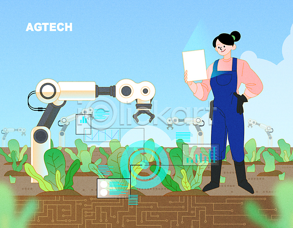 스마트 성인 성인여자한명만 여자 한명 AI(파일형식) 일러스트 농부 농사 농업 들기 로봇팔 배추 배추밭 서기 스마트팜 어그테크 자동화 자동화기기 전신 하늘 허리손 홀로그램
