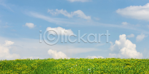 사람없음 3D PSD 디지털합성 편집이미지 구름(자연) 꽃 맑음 자연 잔디 초원(자연) 편집 편집소스 풍경(경치) 하늘