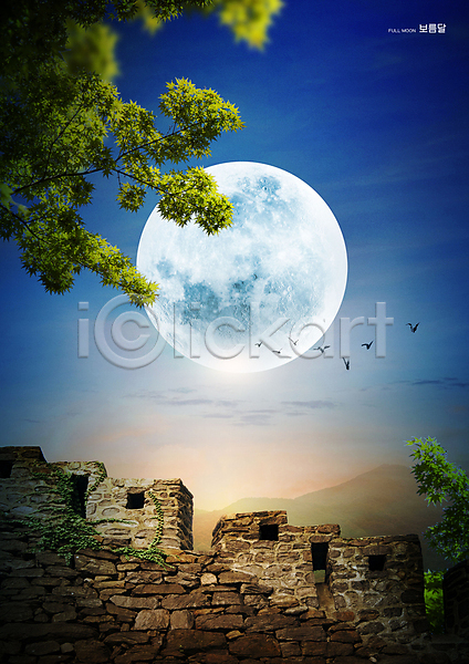 사람없음 PSD 편집이미지 구름(자연) 나뭇가지 나뭇잎 달 돌담 밤하늘 보름달 여러마리 조류 파란색