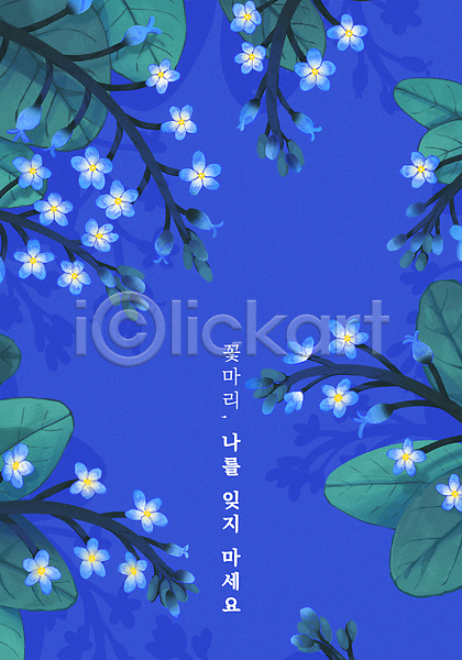 감성 사람없음 PSD 일러스트 꽃마리 꽃말 꽃잎 들꽃 물망초 잎 타이포그라피 파란색 프레임