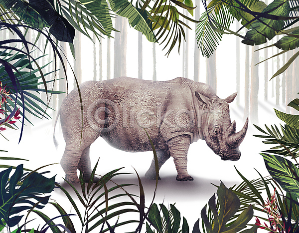 사람없음 PSD 일러스트 나무 서기 숲 숲속 열대우림 열대잎 잎 초식동물 코뿔소 풀(식물) 프레임 한마리