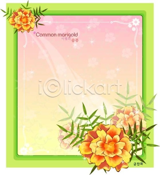 사람없음 EPS 일러스트 템플릿 금잔화 꽃 꽃말 꽃백그라운드 백그라운드 식물 여름꽃 자연 주황색 컬러