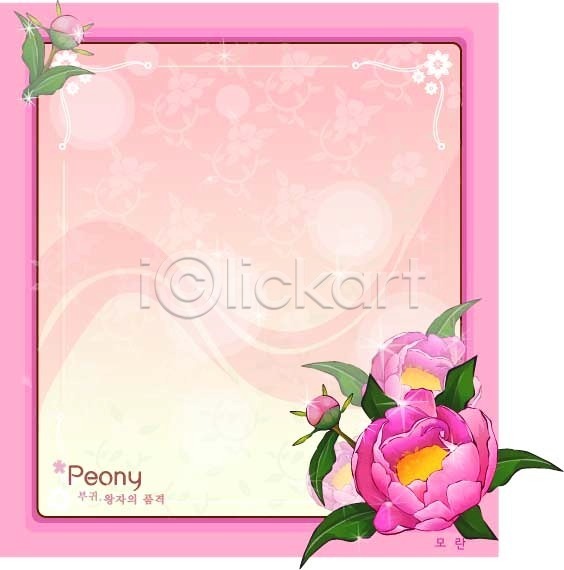 사람없음 EPS 일러스트 템플릿 꽃 꽃말 꽃백그라운드 모란 백그라운드 봄꽃 분홍색 식물 자연