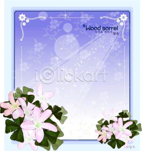 사람없음 EPS 일러스트 템플릿 꽃 꽃말 꽃백그라운드 백그라운드 분홍색 사랑초 식물 여름꽃 자연