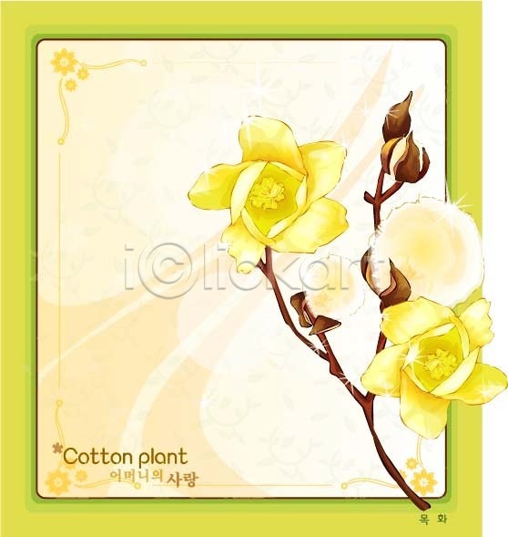사람없음 EPS 일러스트 템플릿 꽃 꽃말 꽃백그라운드 노란색 목화꽃 백그라운드 솜 식물 여름꽃 자연 컬러