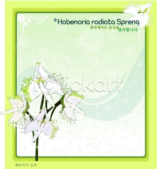 사람없음 EPS 일러스트 템플릿 꽃 꽃말 꽃백그라운드 난초 백그라운드 식물 자연 해오라비난초 흰색