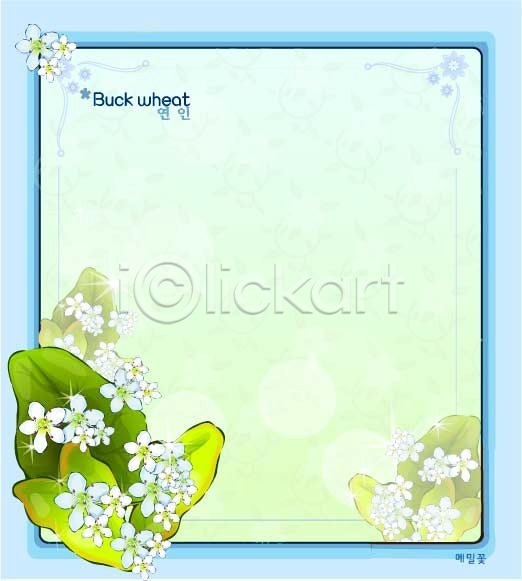 사람없음 EPS 일러스트 템플릿 가을꽃 꽃 꽃말 꽃백그라운드 메밀꽃 백그라운드 식물 자연 커플 흰색
