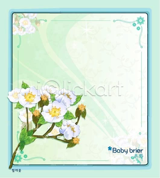 사람없음 EPS 일러스트 템플릿 꽃 꽃말 꽃백그라운드 백그라운드 봄꽃 식물 자연 찔레꽃 흰색