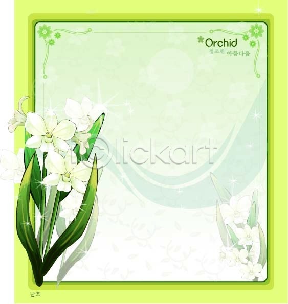 사람없음 EPS 일러스트 템플릿 꽃 꽃말 꽃백그라운드 난초 백그라운드 식물 자연 흰색