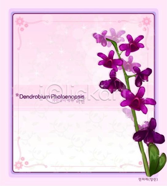 사람없음 EPS 일러스트 템플릿 꽃 꽃말 꽃백그라운드 난초 덴파레 백그라운드 보라색 식물 양란 자연 컬러