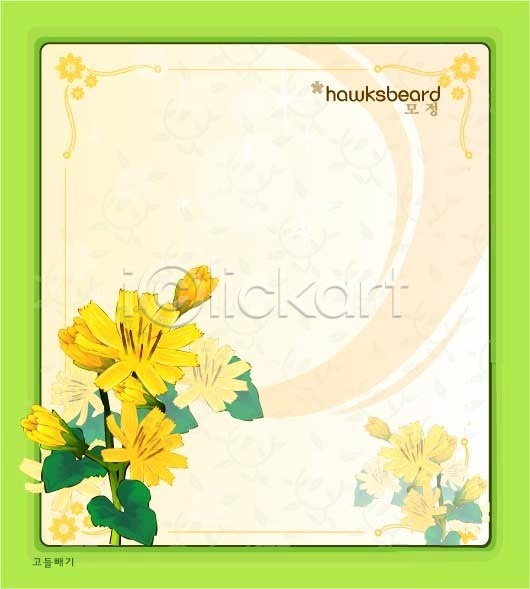 사람없음 EPS 일러스트 템플릿 고들빼기 꽃 꽃말 꽃백그라운드 노란색 백그라운드 식물 여름꽃 자연 컬러