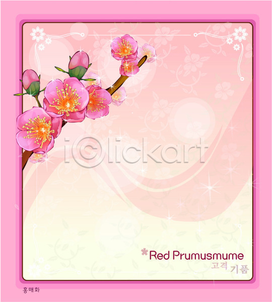 사람없음 EPS 일러스트 템플릿 꽃 꽃말 꽃백그라운드 매화 백그라운드 봄꽃 분홍색 식물 자연 홍매화